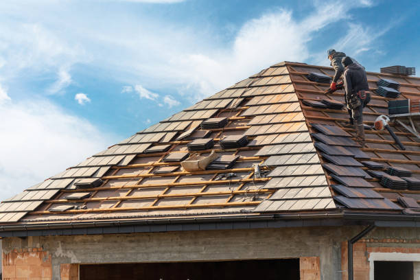 Best Roof Moss and Algae Removal  in Lake Holiday, VA