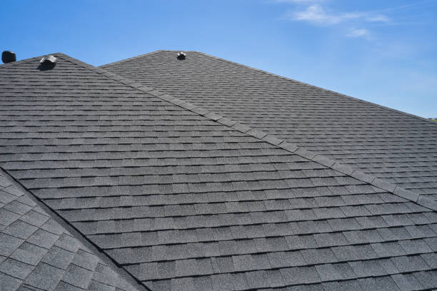 Best Roof Maintenance and Cleaning  in Lake Holiday, VA